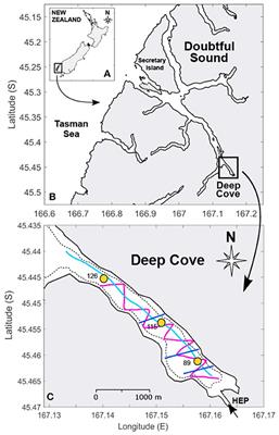 Mechanisms of Lateral Spreading in a Near-Field Buoyant River Plume Entering a Fjord